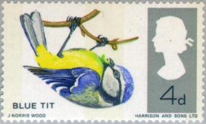 Colnect-4957-626-Blue-Tit-Parus-caeruleus---Phosphor.jpg