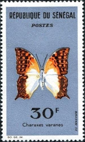 Colnect-5602-271-Pearl-Charaxes-Charaxes-varanes.jpg