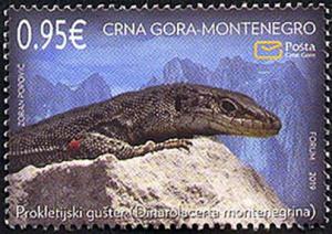 Colnect-5772-088-Mosor-Rock-Lizard-Dinarolacerta-montenegrina.jpg