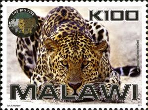 Colnect-5947-879-Leopard-Panthera-pardus.jpg