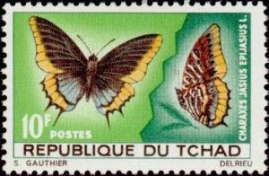 Colnect-771-747-Cream-bordered-Charaxes-Charaxes-jasius-epijasius.jpg