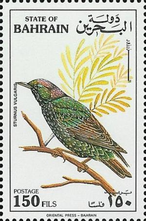 Colnect-854-614-Common-Starling-Sturnus-vulgaris.jpg