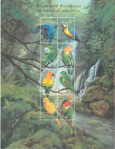 Colnect-3742-926-Birds-and-Parakeets-of-central-America.jpg