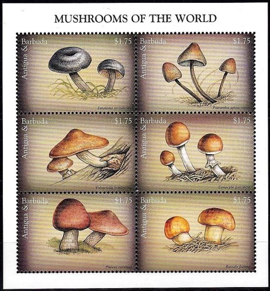 Colnect-3840-426-Various-Mushrooms.jpg