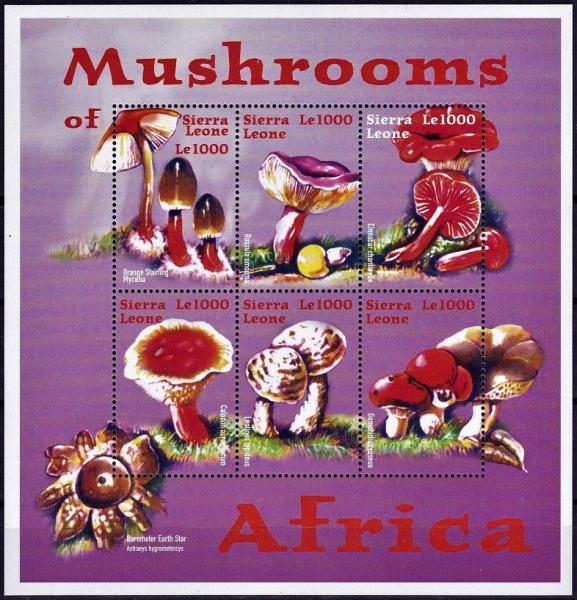 Colnect-5266-793-Various-Mushrooms.jpg