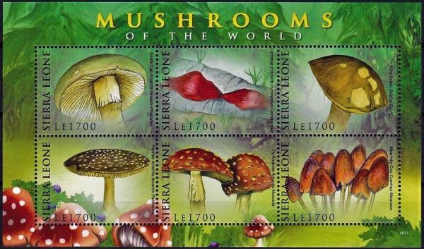 Colnect-5097-824-Various-Mushrooms.jpg