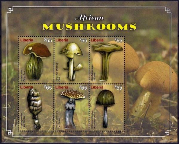 Colnect-5234-431-Various-Mushrooms.jpg