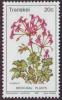 Colnect-1712-331-Pelargonium-reniforme.jpg