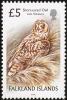 Colnect-2894-673-Short-eared-Owl-Asio-flammeus.jpg