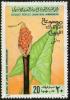 Colnect-1989-006-Arum-Cirenaicum.jpg