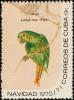 Colnect-3837-369-Cuban-Parakeet-Aratinga-euops.jpg