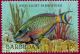 Colnect-1302-403-Stoplight-Parrotfish-Sparisoma-viride.jpg