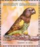 Colnect-1458-244-Meyer-s-Parrot-Poicephalus-meyeri.jpg