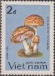 Colnect-1576-996-Agaricus-silvaticus.jpg