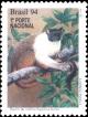 Colnect-2506-941-Pied-Tamarin-Sanguinus-bicolor-.jpg