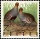 Colnect-3607-538-Gray-Partridge-Perdix-perdix.jpg