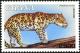 Colnect-4236-111-Leopard-Panthera-pardus.jpg