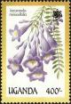 Colnect-4282-033-Jacaranda-mimosifolia.jpg