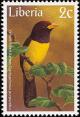 Colnect-745-916-Yellow-billed-Barbet-Trachyphonus-purpuratus.jpg