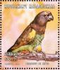 Colnect-1458-244-Meyer-s-Parrot-Poicephalus-meyeri.jpg