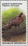 Colnect-1141-808-Bornean-Peacock-pheasant-Polyplectron-schleiermacheri.jpg