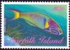 Colnect-2502-139-Moon-Wrasse-Thalassoma-lunare.jpg