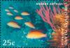 Colnect-2726-711-Orange-Anthias-Pseudanthias-squamipinnis.jpg