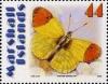 Colnect-3470-874-Eastern-orange-tip.jpg