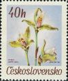 Colnect-438-960-Lycaste-deppei-Lindl.jpg