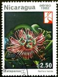 Colnect-1485-568-Passiflora-foetida.jpg