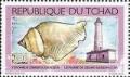 Colnect-1671-790-Grand-Bassam-Ivory-Coast---Humpbacked-Conch-Strombus-gibbe.jpg