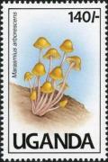 Colnect-1712-425-Marasmius-arborescens.jpg