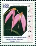 Colnect-2422-033-Masdevallia-rosea.jpg