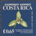 Colnect-2875-465-Lycaste-skinneri-alba.jpg