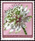 Colnect-5270-324-Astrantia-major.jpg