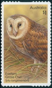 Colnect-3455-482-Eastern-Grass-Owl-Tyto-longimembris.jpg