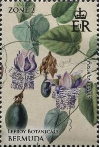 Colnect-4279-125-Passiflora-edulis.jpg