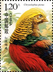 Colnect-1771-351-Golden-Pheasant-Chrysolophus-pictus.jpg