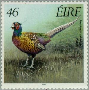 Colnect-128-968-Common-Pheasant-Phasianus-colchicus.jpg