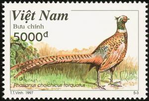 Colnect-1613-125-Common-Pheasant-Phasianus-colchicus.jpg