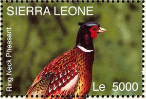 Colnect-1618-016-Common-Pheasant-Phasianus-colchicus.jpg