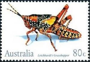 Colnect-1952-557-Leichhardt-s-Grasshopper-Petasida-ephippigera.jpg