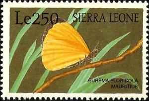 Colnect-2560-497-Malagasy-Grass-Yellow-Eurema-floricola.jpg