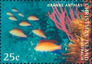 Colnect-2726-711-Orange-Anthias-Pseudanthias-squamipinnis.jpg