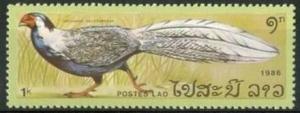 Colnect-3005-869-Silver-Pheasant-Cennaeus-nycthemerus.jpg