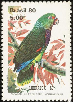 Colnect-712-891-Vinaceous-breasted-Amazon-Amazona-vinacea.jpg