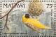 Colnect-1671-856-Lesser-Masked-Weaver-nbsp--nbsp-.jpg