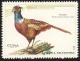 Colnect-2031-167-Common-Pheasant%C2%A0Phasianus-colchicus.jpg