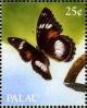 Colnect-3478-015-Hypolimnas-bolina-Coomon-eggfly.jpg