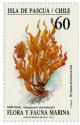 Colnect-526-095-Sargassum-scottsbergii.jpg